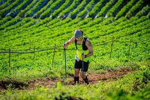 BIB: 
                            <button type="button" onclick="openModal(19161525)" class="btn btn-primary btn-sm float-right btn-popup" data-toggle="modal" data-target=".modal-high-quality">
                        <i class="fas fa-shopping-cart"></i> Add to Cart
                    </button>
                                            <button type="button" onclick="isThisMe(19161525, true)" class="btn btn-success btn-sm float-right btn-popup btn-isme hidden" data-toggle="tooltip" data-placement="bottom" title="นี่คือรูปของคุณใช่ไหม คลิกที่นี่เพื่อเอาเข้าอัลบั้ม">
                        <i class="fas fa-plus"></i> Add to album
                    </button>
                    <button type="button" onclick="isThisMe(19161525, false)" class="btn btn-warning btn-sm float-right btn-popup btn-isnotme hidden">
                        <i class="fas fa-ban"></i> Remove from album
                    </button>